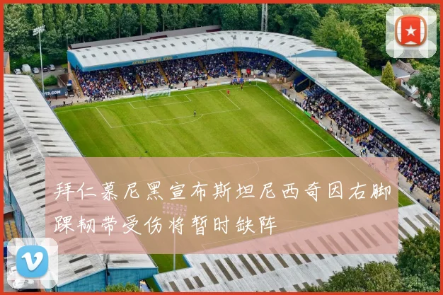 拜仁慕尼黑宣布斯坦尼西奇因右脚踝韧带受伤将暂时缺阵