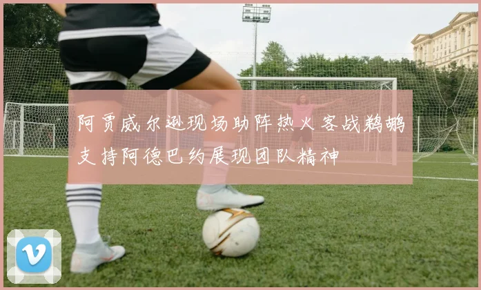 阿贾威尔逊现场助阵热火客战鹈鹕支持阿德巴约展现团队精神