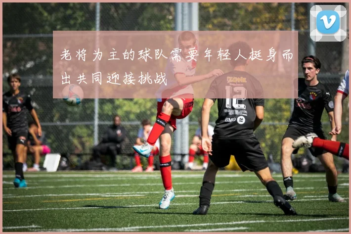 老将为主的球队需要年轻人挺身而出共同迎接挑战